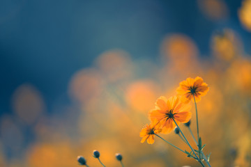 沈阳站到沈阳南站多远