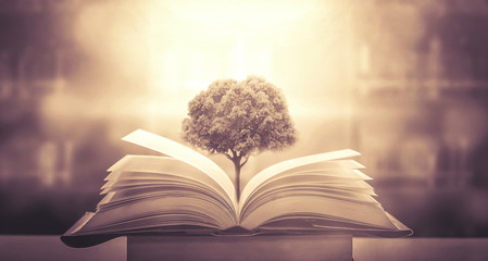 仪表盘出现个扳手标志是啥意思