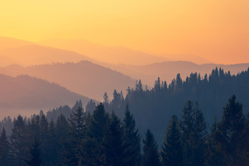 12580是不是车辆违章查询的号码