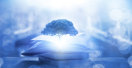 本田400最高时速能跑多少