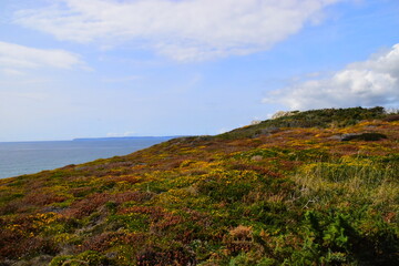 为什么京东、途虎上的轮胎比实体店便宜那么多-