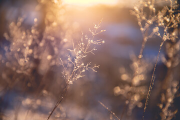 京港澳高速限速多少-