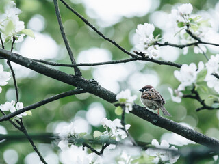 12123预约成功后不缴费会怎么样