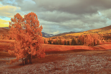 三缸别克英朗的优缺点有哪些？