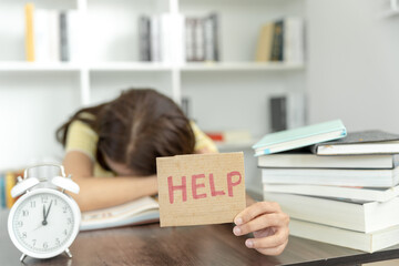 沈阳站到沈阳南站多远