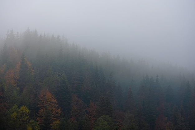 坦克世界T110E3和E-100坦克歼击车哪个更好-分别该怎么用？