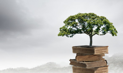 成都车辆限行时间最新规定