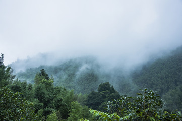 奔驰G55与G500的区别是什么？